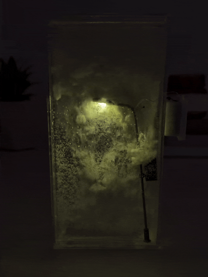 SnowyLamp™